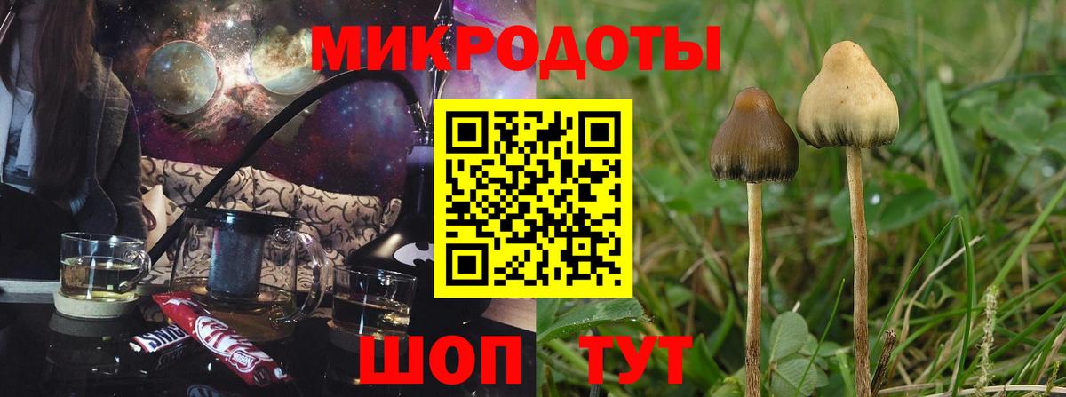 Псилоцибиновые грибы Psilocybe  Вход с VPN  Красногорск 