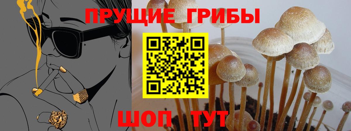 Галлюциногенные грибы прущие грибы Красногорск